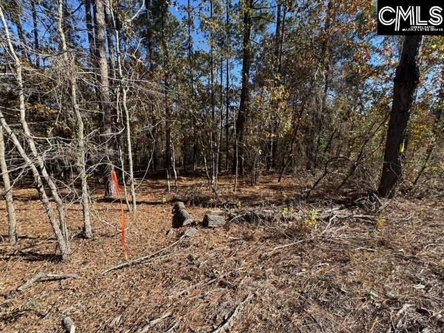 Property Photo: 812 Whitehead SC 29078