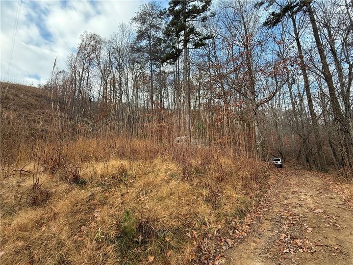Property Photo:  0 Falling Pines Road  GA 30533 