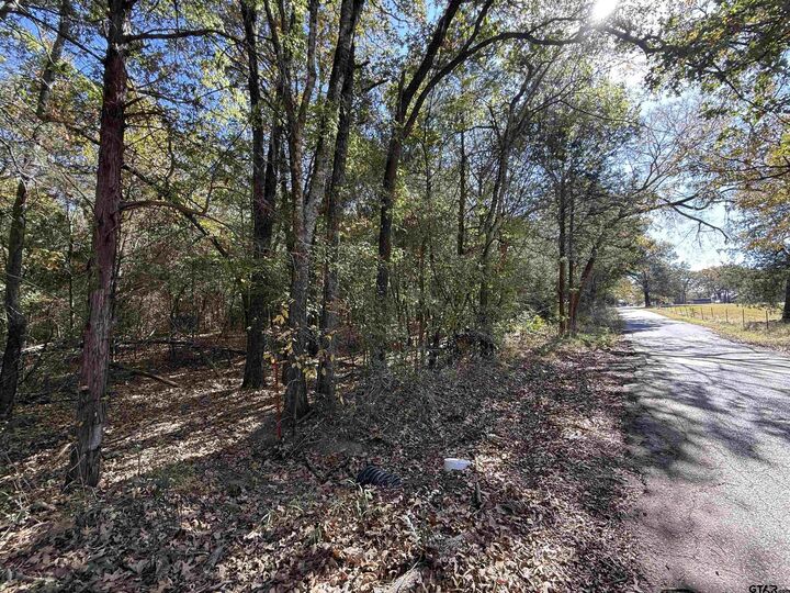 Property Photo: 000 C R 1412 TX 75790