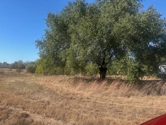 8913 S Peaceful Court  Granbury TX 76048 photo