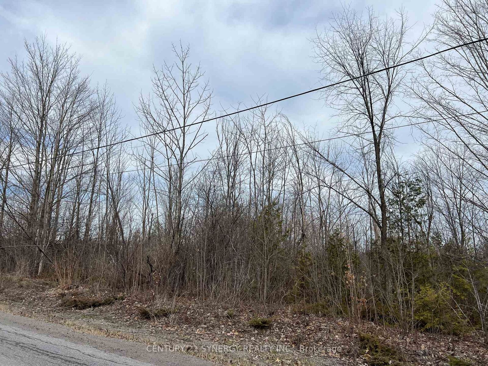 Property Photo:  000 Armstrong Road Lot #1  ON K7A 4S4 