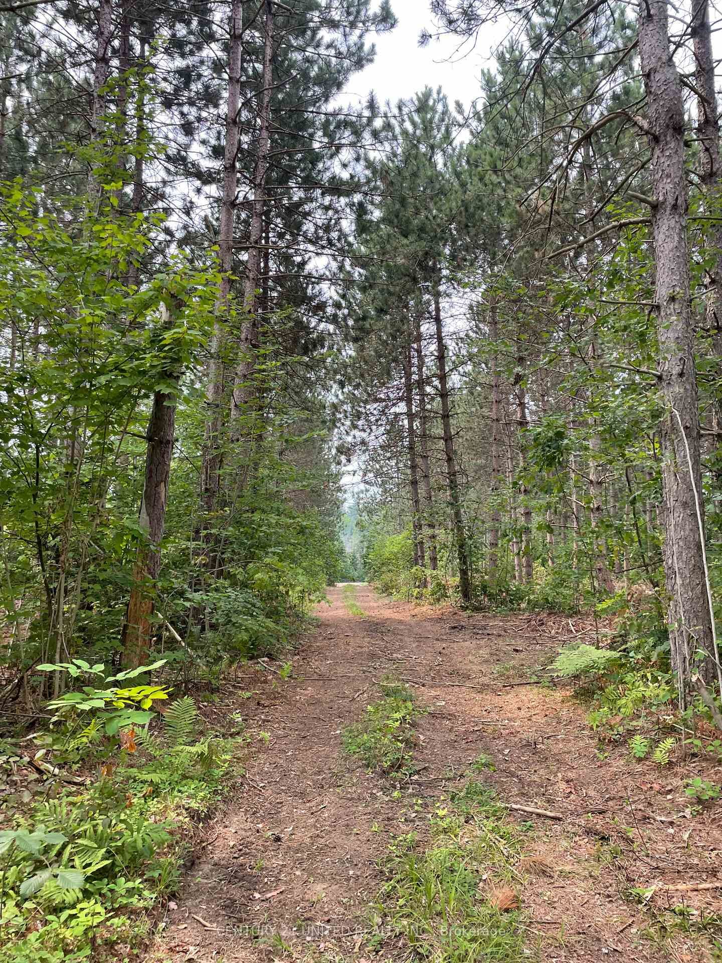 Photo de la propriété:  0 Government Road  ON K0J 1C0 