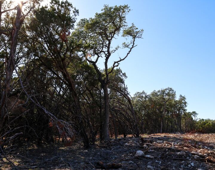 Property Photo: 3101 - 3 Longhorn Trail TX 78676