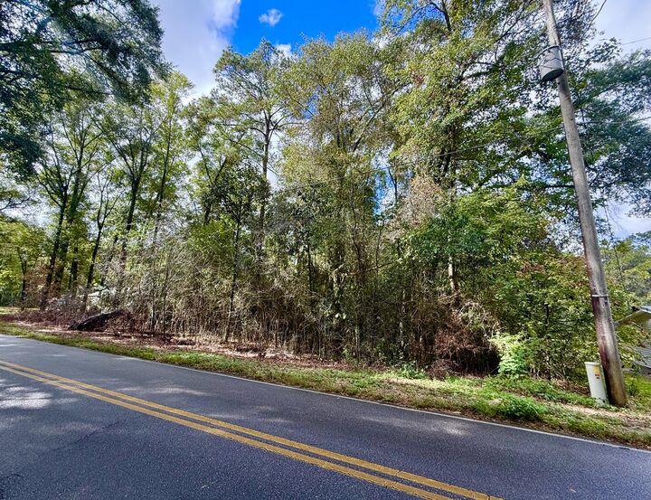 Property Photo:  Lot 3 N Norwood Road  FL 32433 