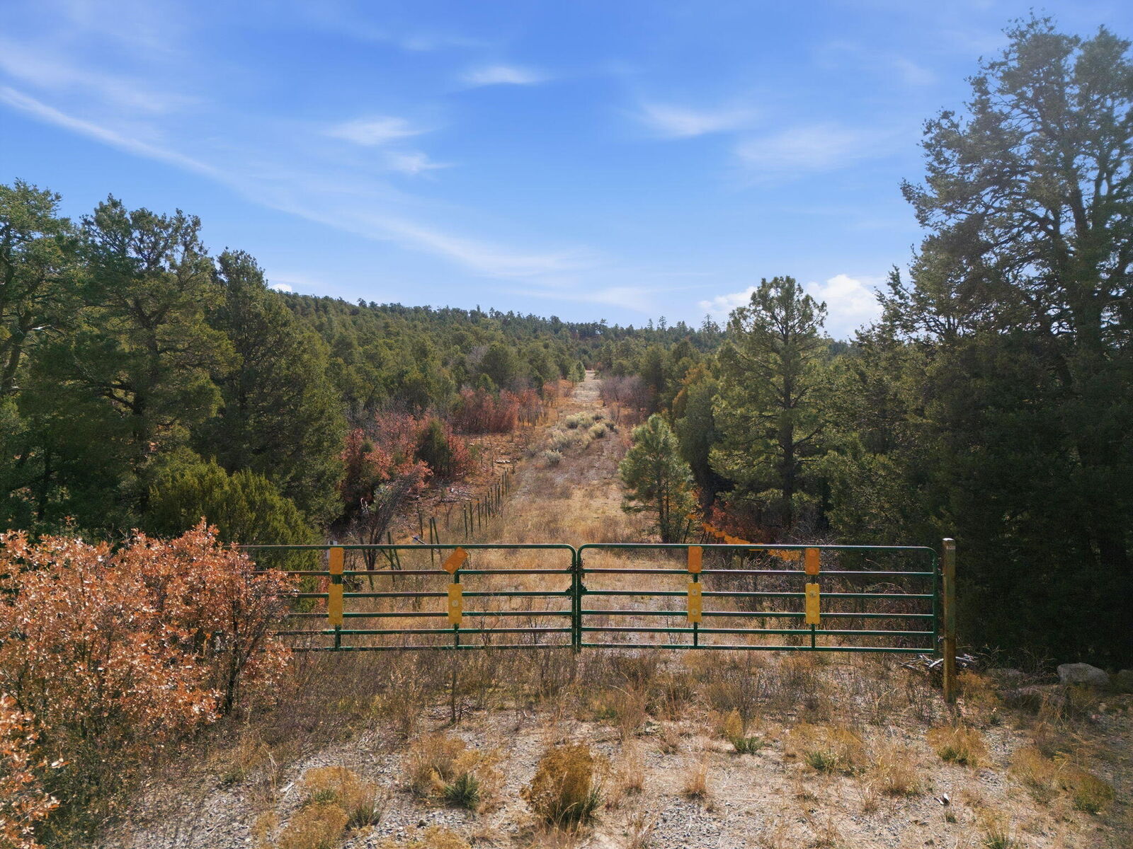 Property Photo: 10 Hayner Court NM 87059