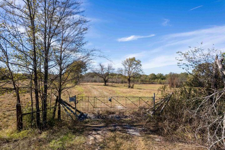 Property Photo: Tbd Fm 71 TX 75487