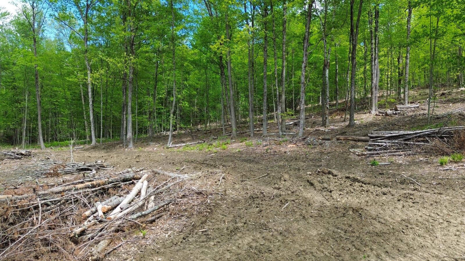 Property Photo:  Lot 26-4 Plain Road  NH 03451 