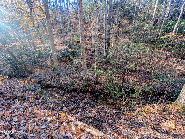 Property Photo:  Lot 1908 Rose Pass  TN 37876 