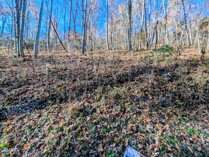 Property Photo:  Lot 1273 Raymond Hollow Road  TN 37876 