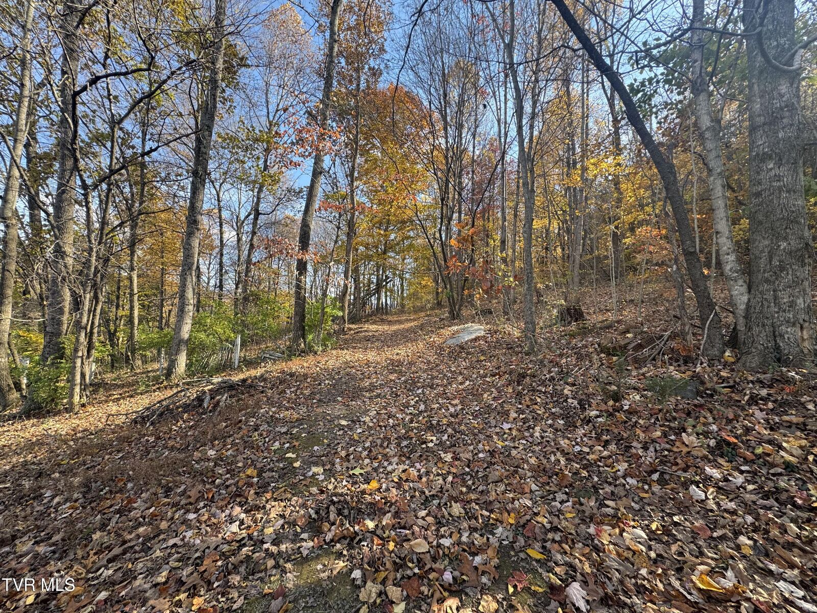 Property Photo: 119 Rhododendron Lane TN 37601