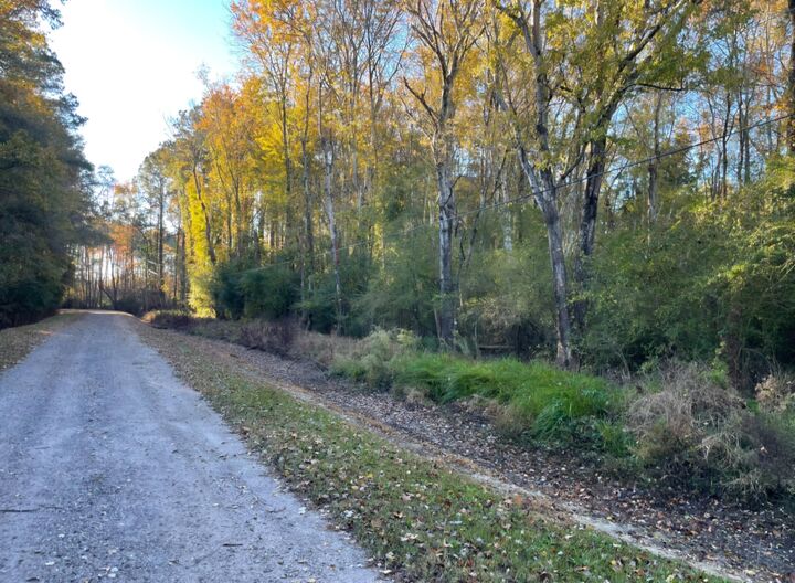 Property Photo: 0 Dig It Rd SC 29483