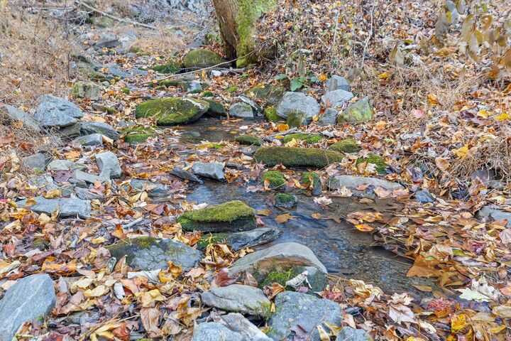 Property Photo: 180 Cohutta Forest Road GA 30540