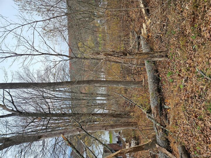 Property Photo: 23 Gardner Drive NY 12771