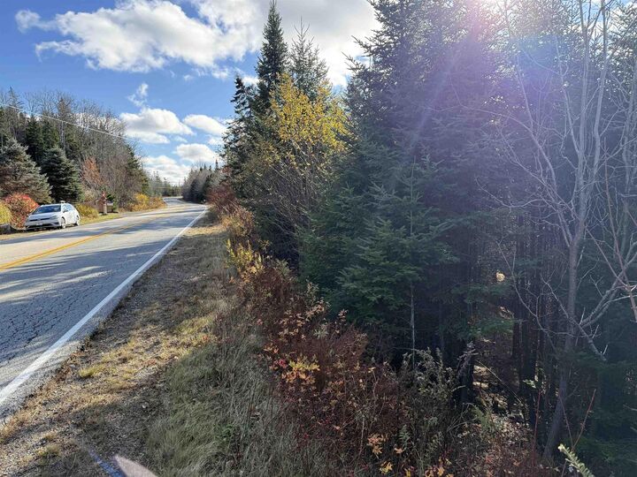 Lot Highway 331 — photo 1