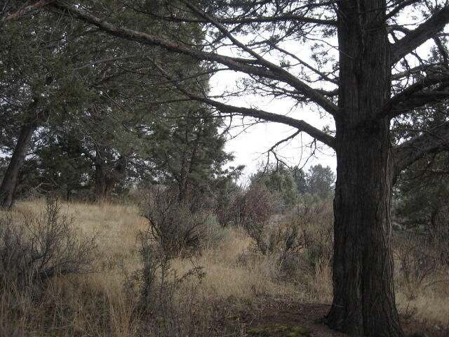 Property Photo: Drews Road Lot 2 OR 97639