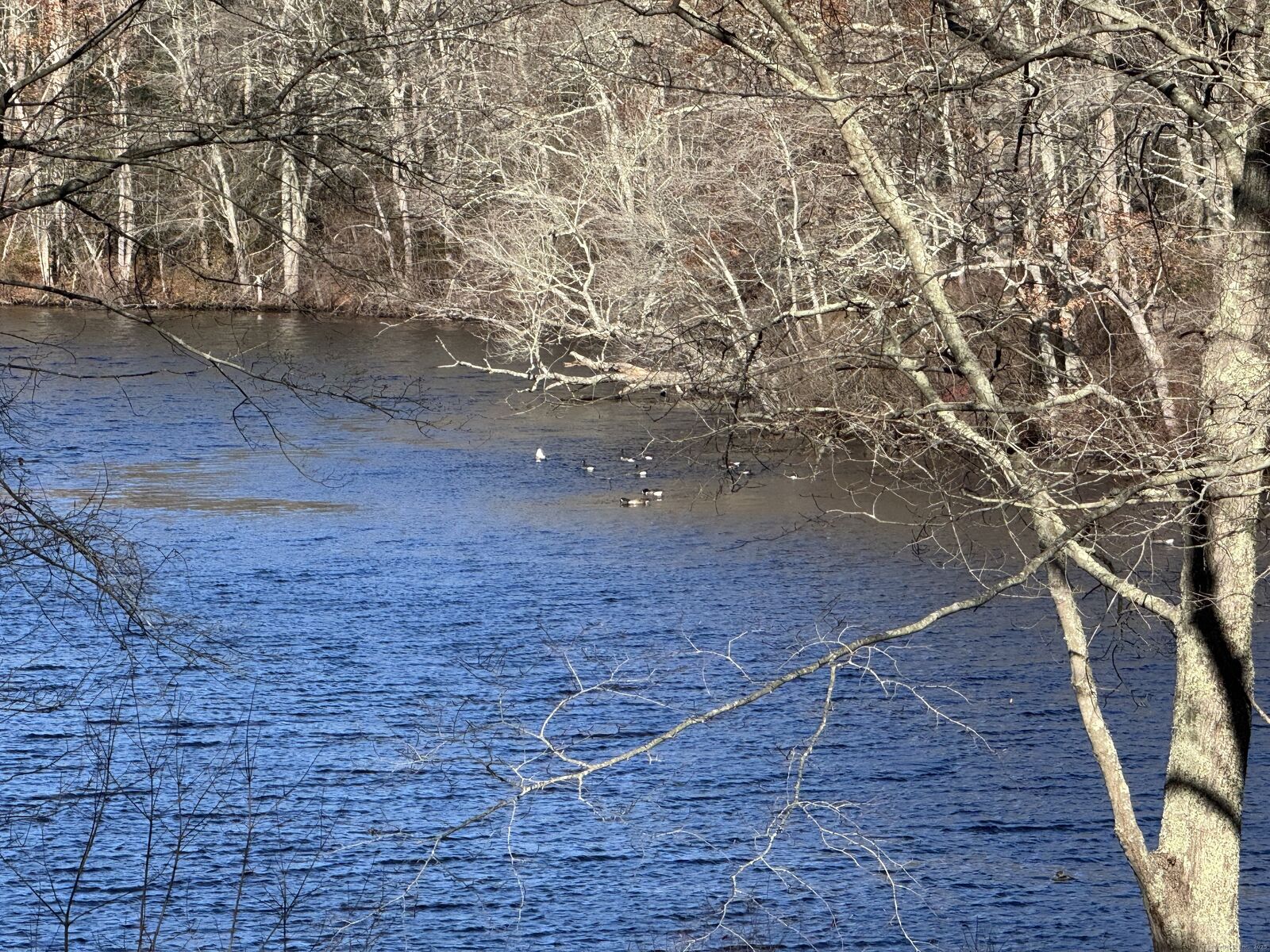 Property Photo:  523 Route 163  CT 06353 