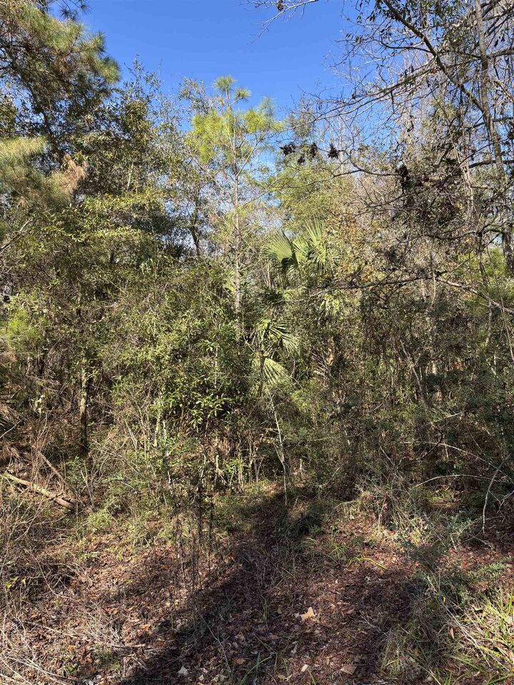 Property Photo:  Xx Noles Lane  FL 32327 