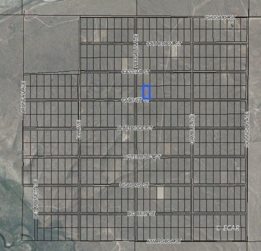 Property Photo:  Cabinet Street  NV 89801 