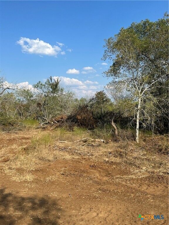 Property Photo:  5894 Fm 1107 Unit B-Tract 1  TX 78160 