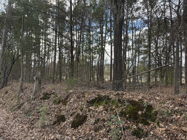 Property Photo:  Tbd Bob-O-Link  TX 75644 