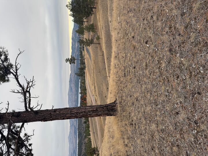 Property Photo:  8550 Eagle View Road  MT 59602 