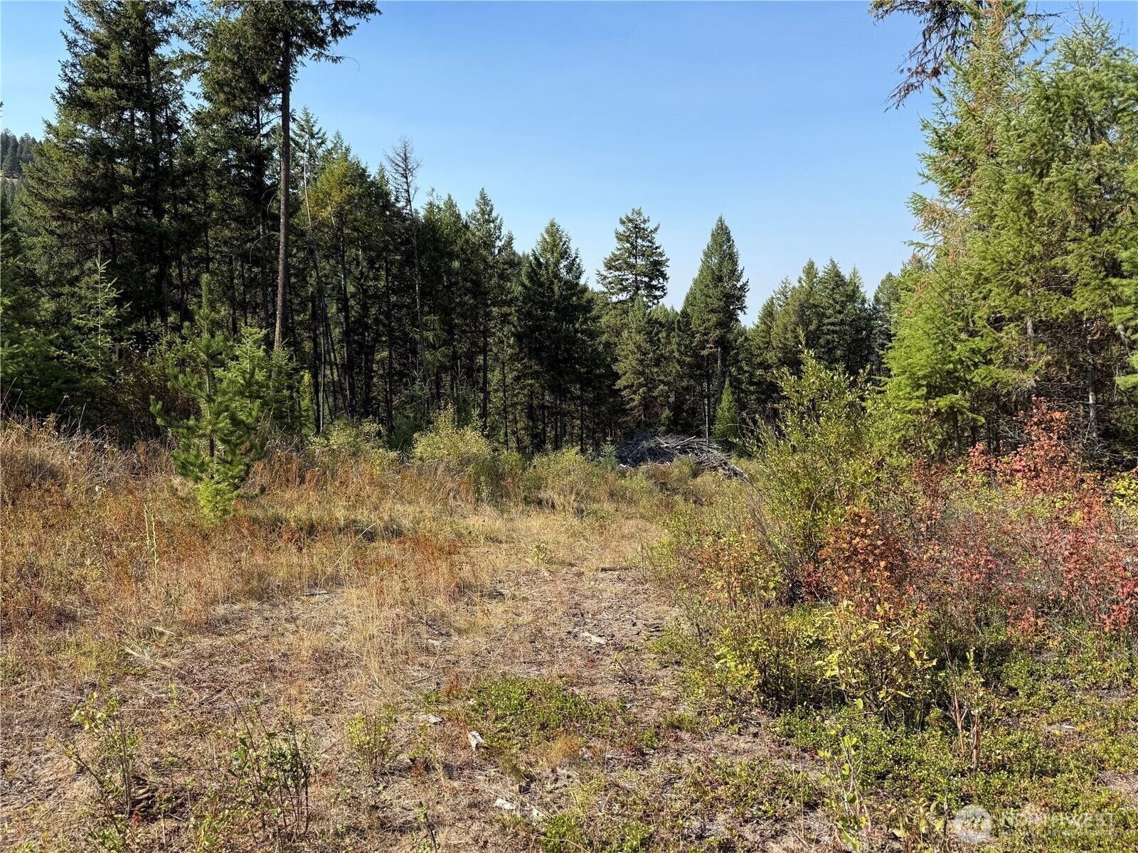 Property Photo:  0  St. Peter'S Creek Road  WA 99150 