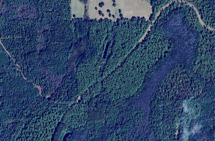 Property Photo: 5 Canopy Oaks Blvd FL 32425