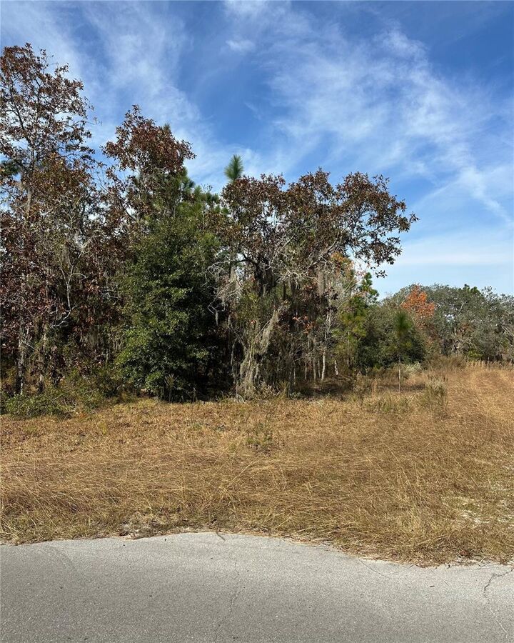 Property Photo:  Lot 2 NE 151st Ter  FL 32696 