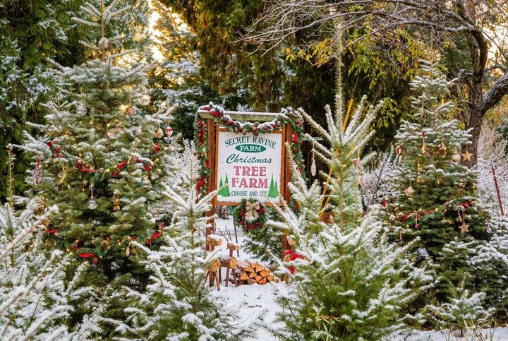 2740 Mace Road  Camino CA 95709 photo