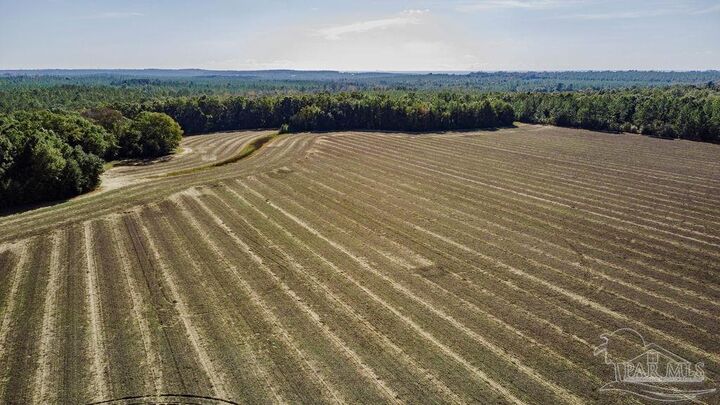 Property Photo: 4A Segrest Rd FL 32571