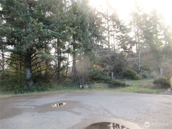 Property Photo:  311  Sycamore Court  WA 98569 