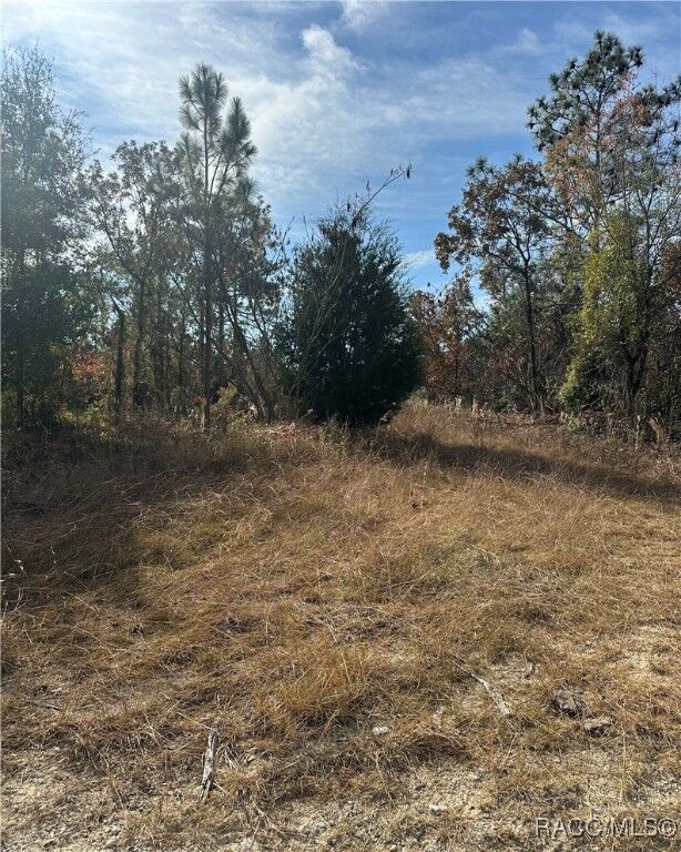 Property Photo: Lot 2 NE 151st Terrace FL 32696