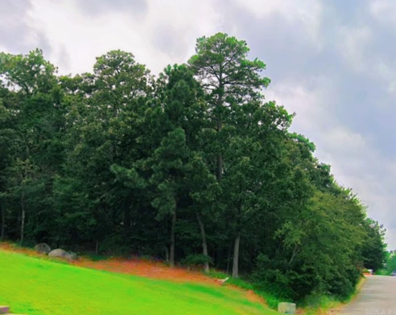 Property Photo: 26 Norfork Drive AR 72113