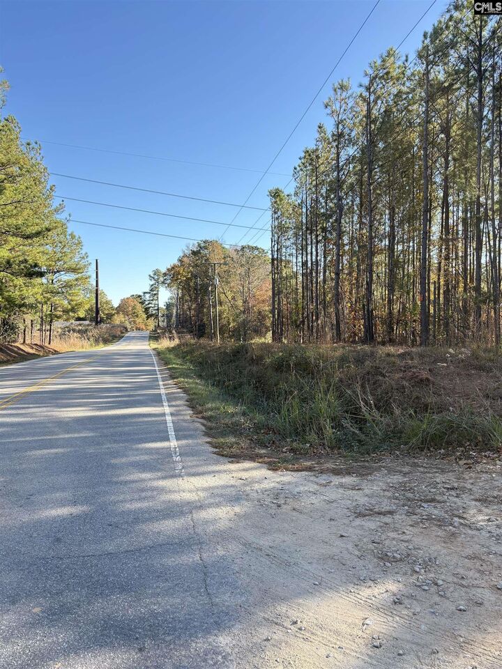 Property Photo:  1236 Crane Church  SC 29203 