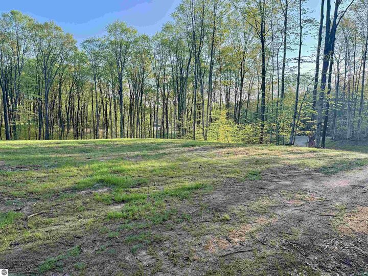 Property Photo:  001 S Bright Road  MI 49664 