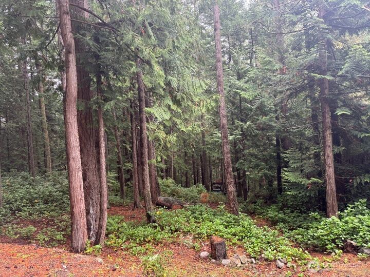 Property Photo:  0  Woodhaven Lane  WA 98261 