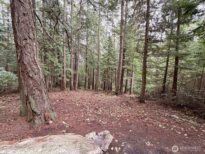 Property Photo:  0  Woodhaven Lane  WA 98261 