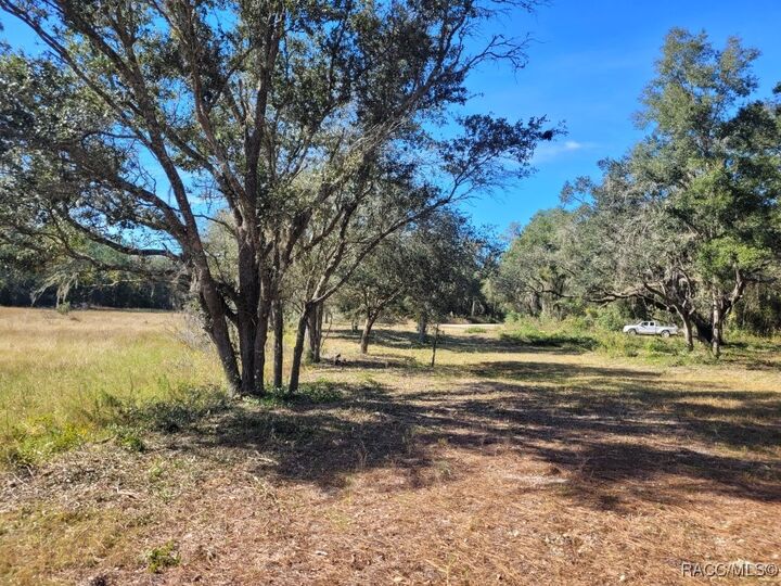 Property Photo:  0 Octavia Lane  FL 33597 