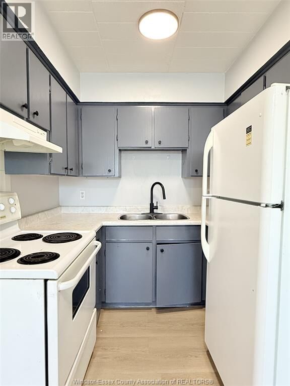 Property Photo:  591 Wellington Avenue 206  ON N9A 5J3 