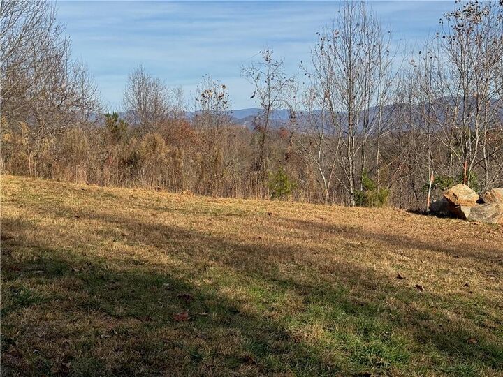 Property Photo: 1220 Chatuge Manor Drive GA 30582