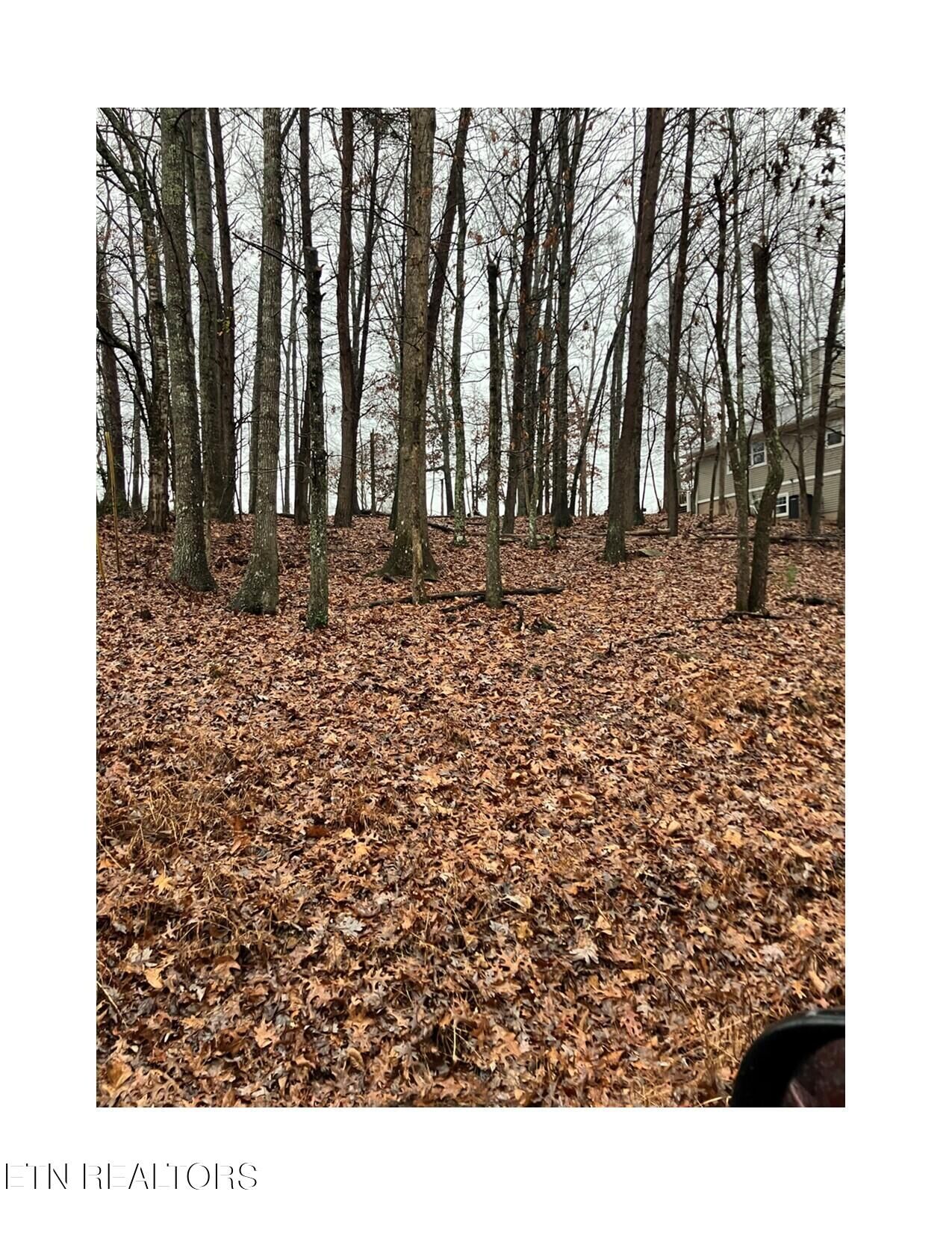 Property Photo: 16 Berkeley TN 38558