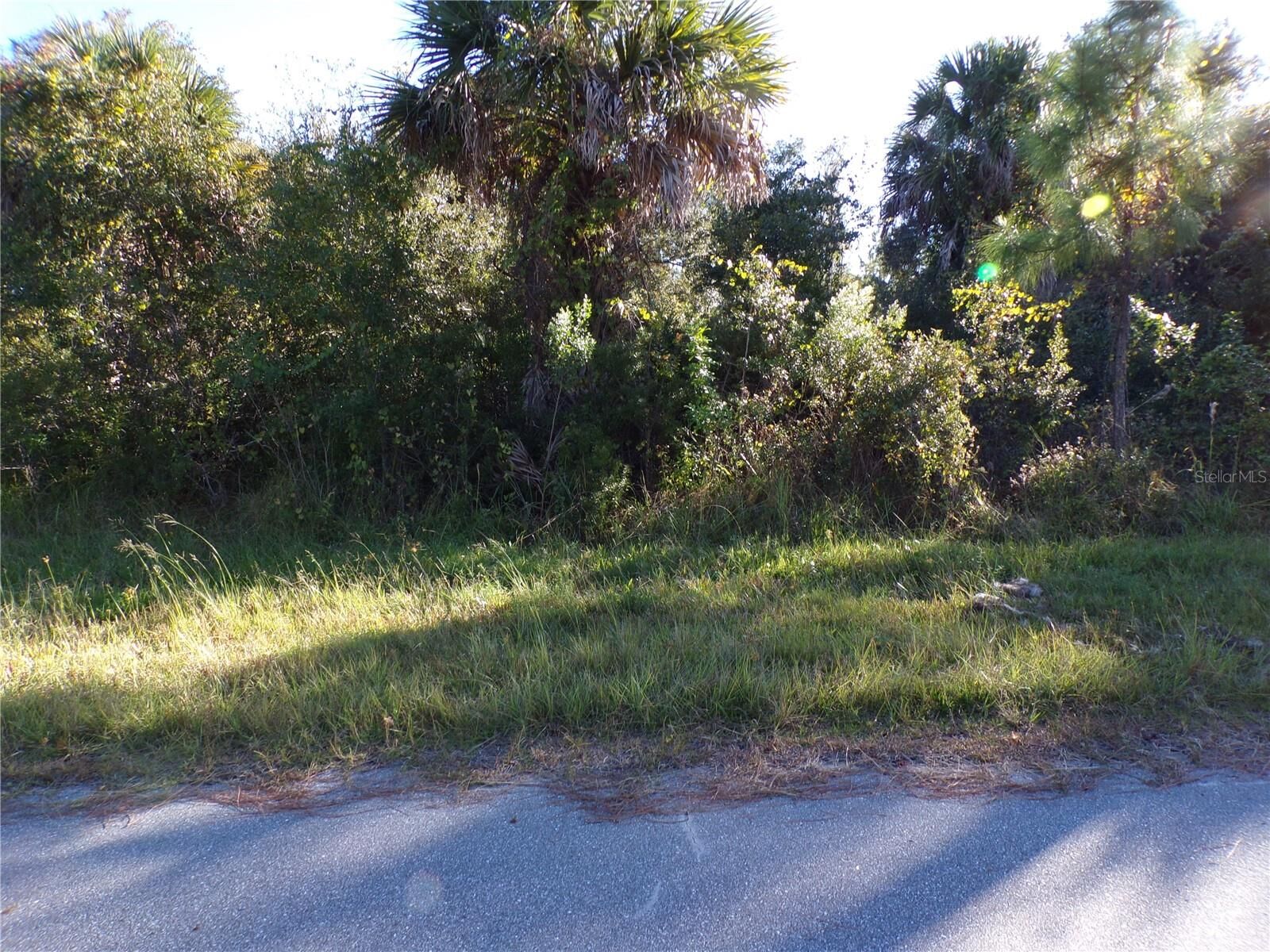Property Photo:  14315 Whitesides Avenue  FL 33953 