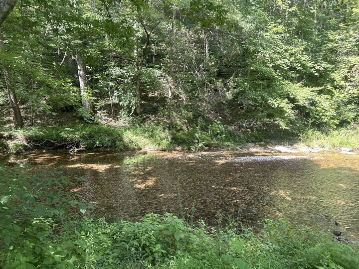 Property Photo:  1775 Old Beech Creek Rd  TN 38485 