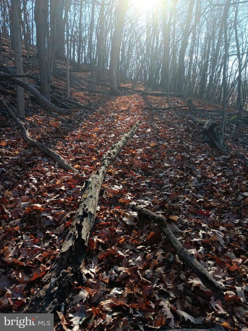 Property Photo:  Gray Avenue  MD 21502 