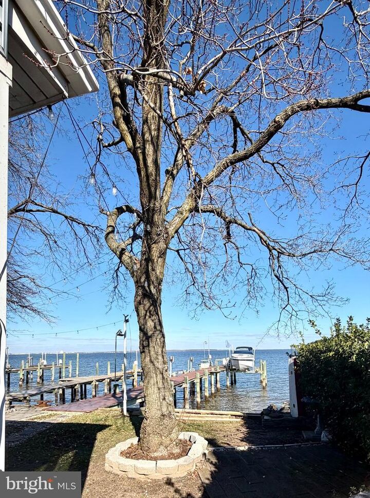 Property Photo:  2032 Kurtz Avenue  MD 21122 