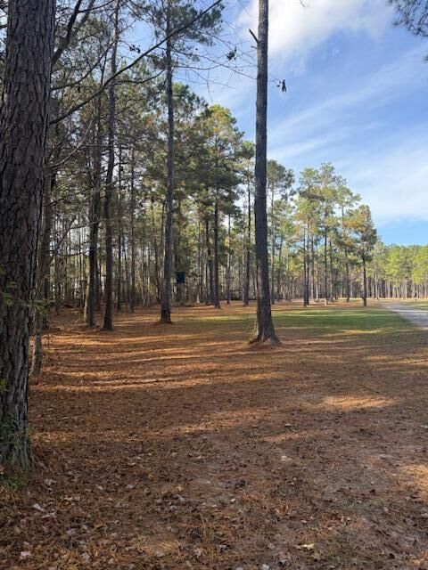 Property Photo:  00 Myers Mayo Road Lot 2  SC 29472 