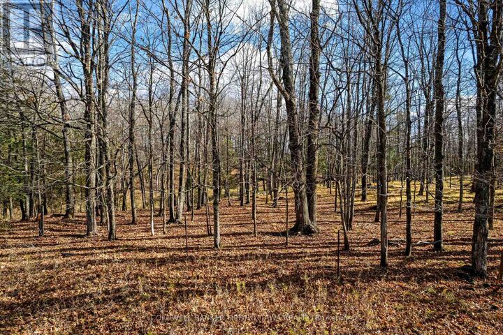 Pt 3-00 Herron Mills Road  Lanark Highlands ON K0G 1K0 photo