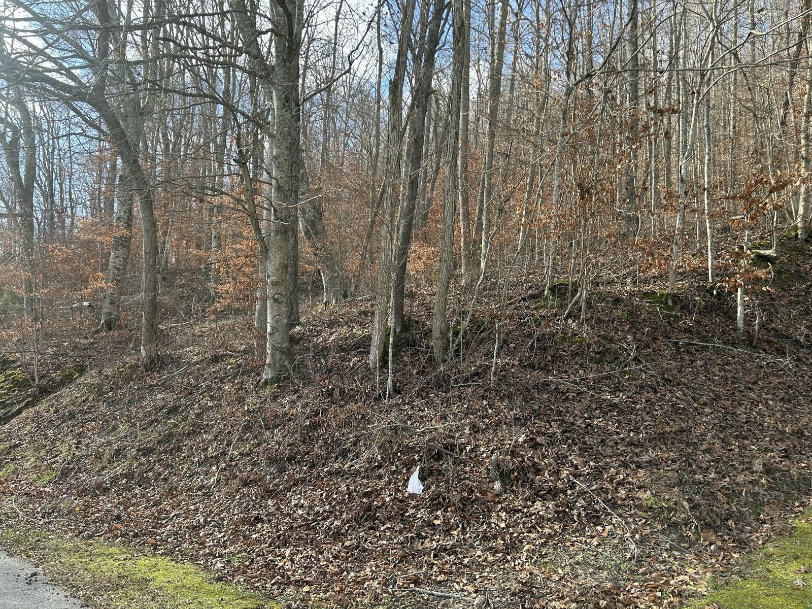 Property Photo:  Tbd North Fork Rd  KY 40380 