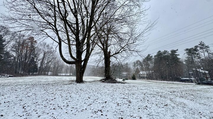 6593 134th Avenue  Saugatuck MI 49453 photo