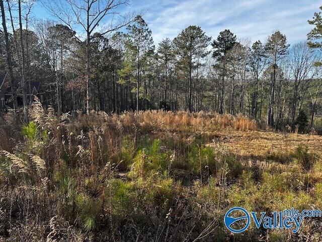Property Photo: Lot 226 Woodmont Drive AL 35175